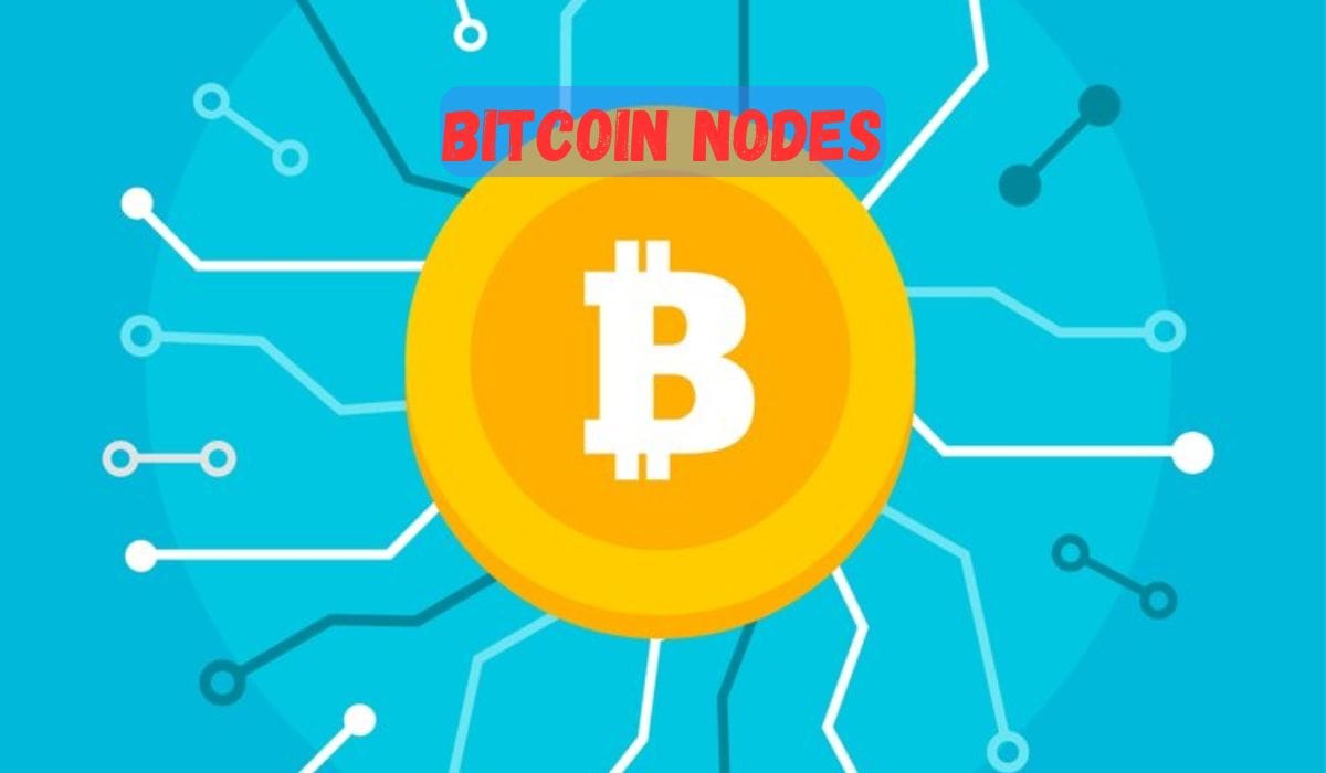 Bitcoin Nodes: The Backbone of the Bitcoin Network (बिटक्विन नोडहरू: बिटक्विन नेटवर्कको मेरुदण्ड)