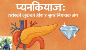 प्यान्क्रियाज: शरीरको लुकेको हीरा र सुगर नियन्त्रक अंग