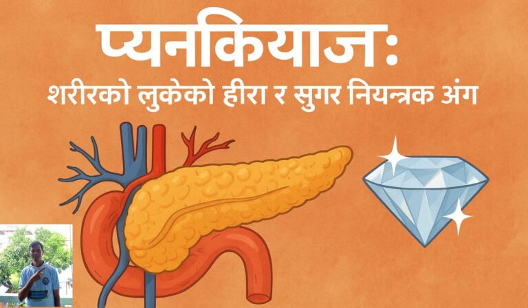 प्यान्क्रियाज: शरीरको लुकेको हीरा र सुगर नियन्त्रक अंग